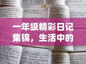 一年级精彩日记集锦,生活中的点滴回忆