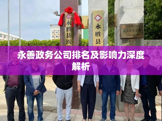 永善政务公司排名及影响力深度解析