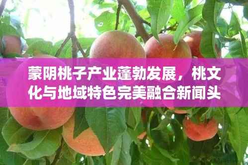 蒙阴桃子产业蓬勃发展,桃文化与地域特色完美融合新闻头条