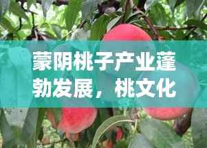 蒙阴桃子产业蓬勃发展,桃文化与地域特色完美融合新闻头条