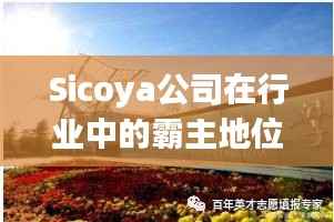 Sicoya公司在行业中的霸主地位及超强影响力揭秘