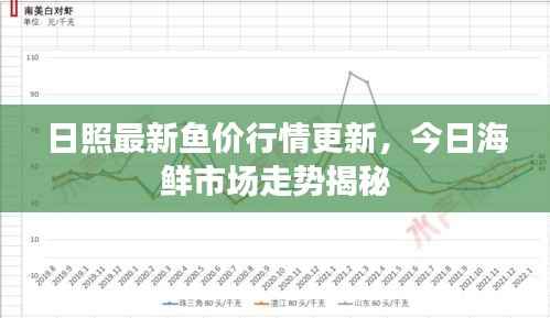 日照最新鱼价行情更新，今日海鲜市场走势揭秘