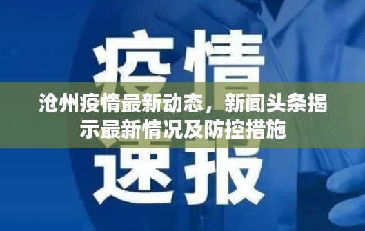 沧州疫情最新动态,新闻头条揭示最新情况及防控措施