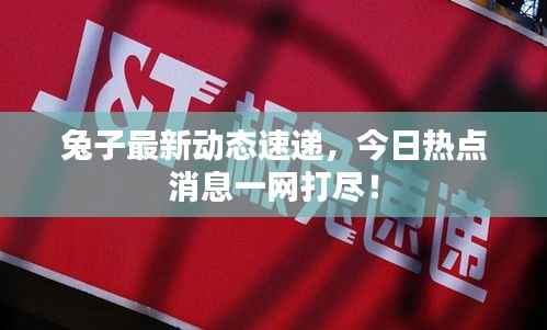 兔子最新动态速递,今日热点消息一网打尽!