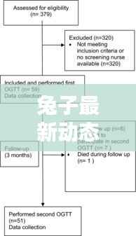 兔子最新动态速递,今日热点消息一网打尽!