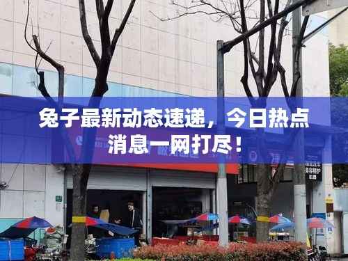 兔子最新动态速递,今日热点消息一网打尽!
