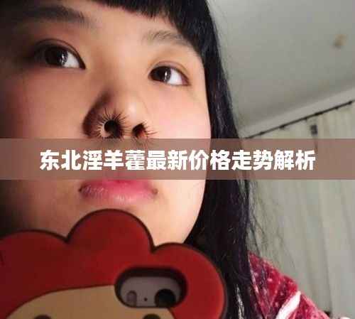 东北淫羊藿最新价格走势解析