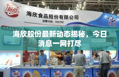 海欣股份最新动态揭秘，今日消息一网打尽