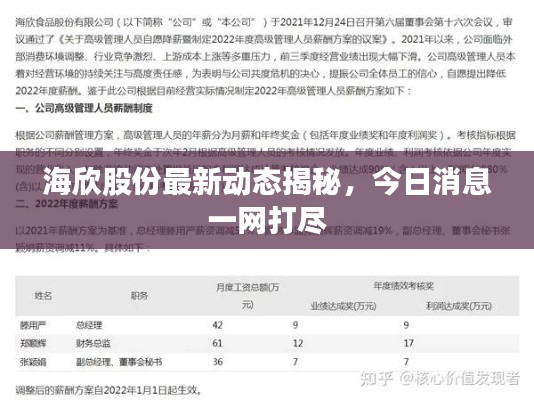 海欣股份最新动态揭秘,今日消息一网打尽