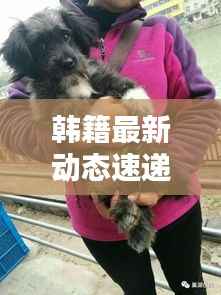 韩籍最新动态速递,今日消息一网打尽