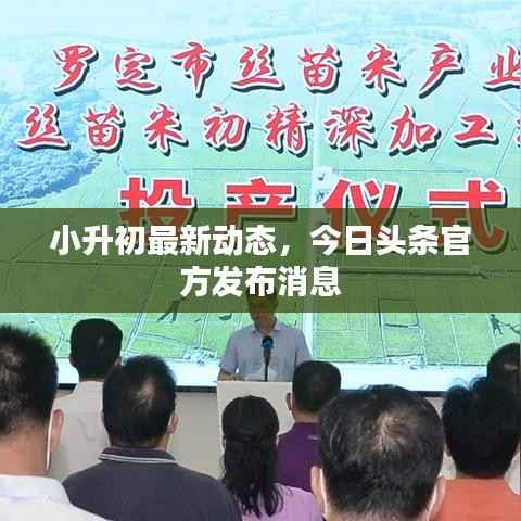 小升初最新动态，今日头条官方发布消息