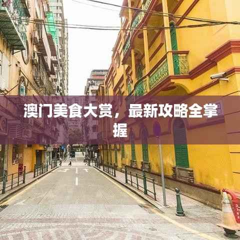 澳门美食大赏，最新攻略全掌握