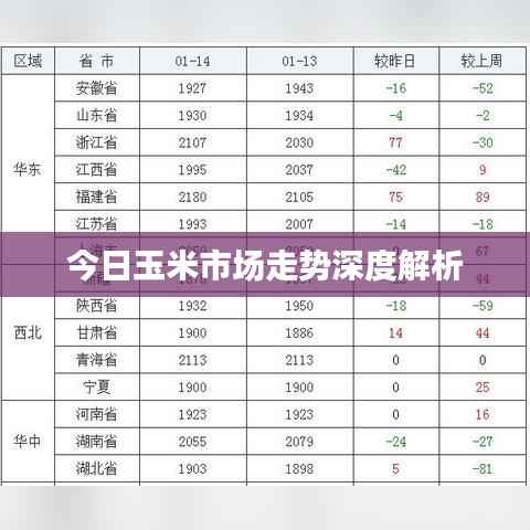 今日玉米市场走势深度解析