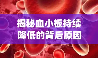 揭秘血小板持续降低的背后原因！