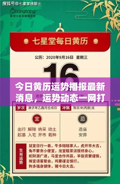 今日黄历运势播报最新消息,运势动态一网打尽!