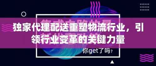 独家代理配送重塑物流行业,引领行业变革的关键力量