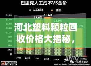 河北塑料颗粒回收价格大揭秘,最新行情及影响因素分析