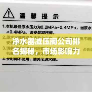 净水器减压阀公司排名揭秘，市场影响力与市场份额的较量！