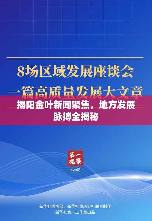 揭阳金叶新闻聚焦,地方发展脉搏全揭秘