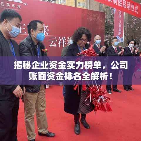 揭秘企业资金实力榜单,公司账面资金排名全解析!