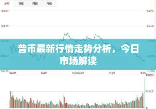 普币最新行情走势分析,今日市场解读