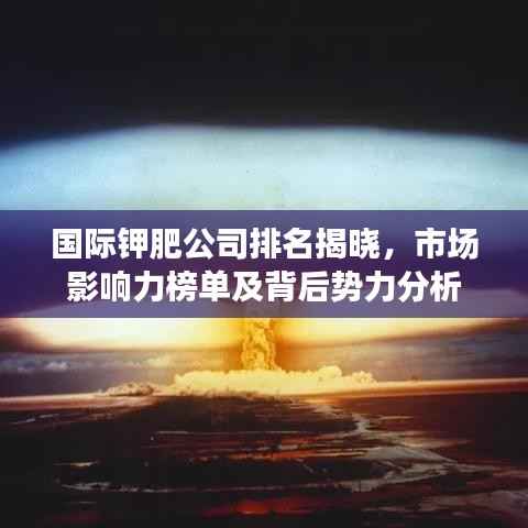 国际钾肥公司排名揭晓,市场影响力榜单及背后势力分析