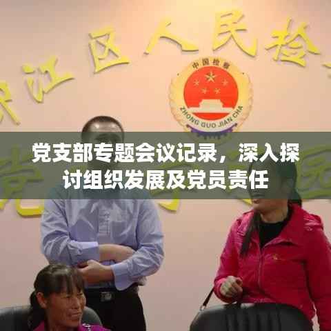 党支部专题会议记录,深入探讨组织发展及党员责任