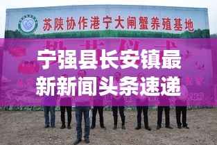 宁强县长安镇最新新闻头条速递