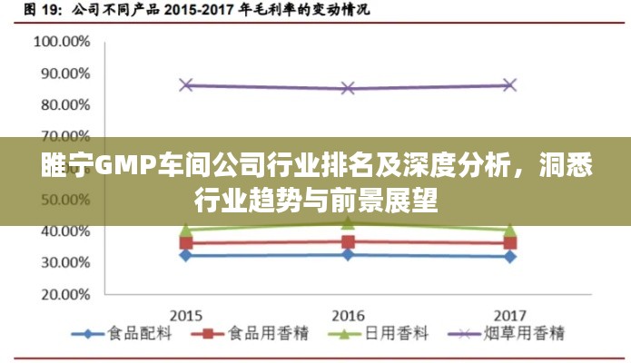 睢宁GMP车间公司行业排名及深度分析,洞悉行业趋势与前景展望