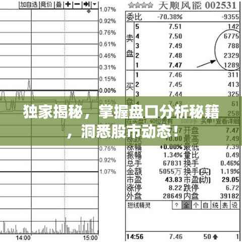 独家揭秘,掌握盘口分析秘籍,洞悉股市动态!