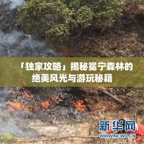 「独家攻略」揭秘冕宁森林的绝美风光与游玩秘籍