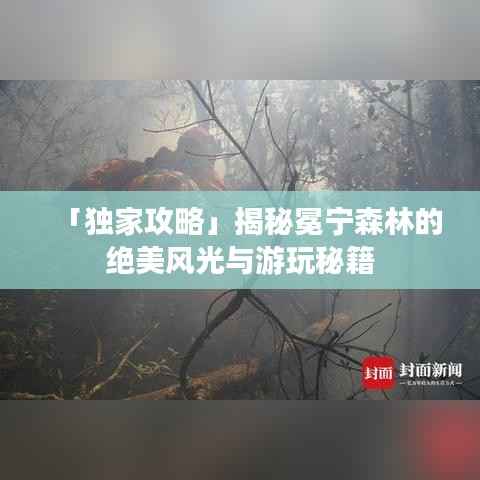 「独家攻略」揭秘冕宁森林的绝美风光与游玩秘籍