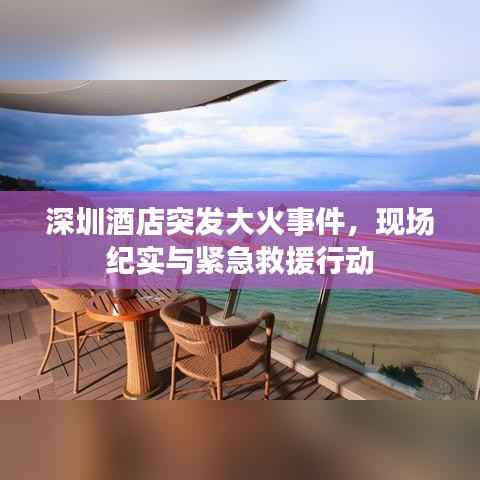 沉鱼落雁 第3页