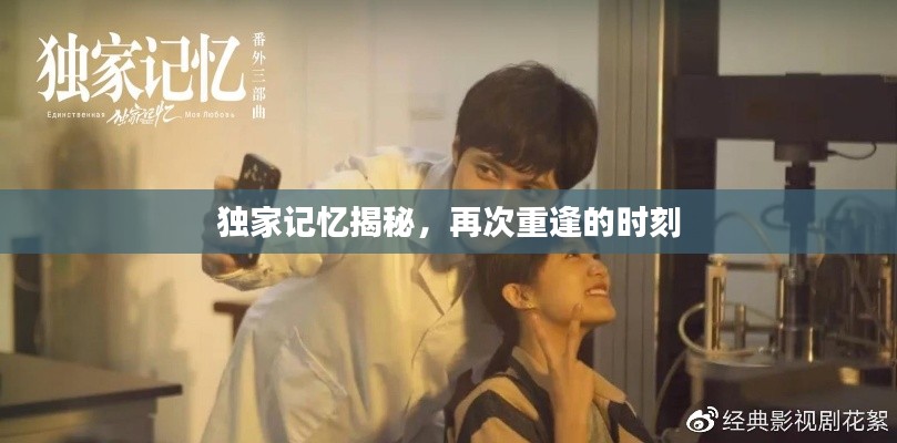 独家记忆揭秘,再次重逢的时刻