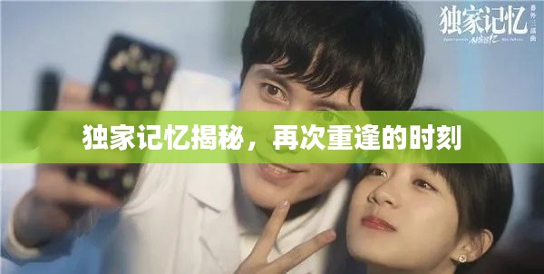 独家记忆揭秘,再次重逢的时刻