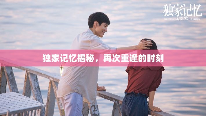 独家记忆揭秘,再次重逢的时刻