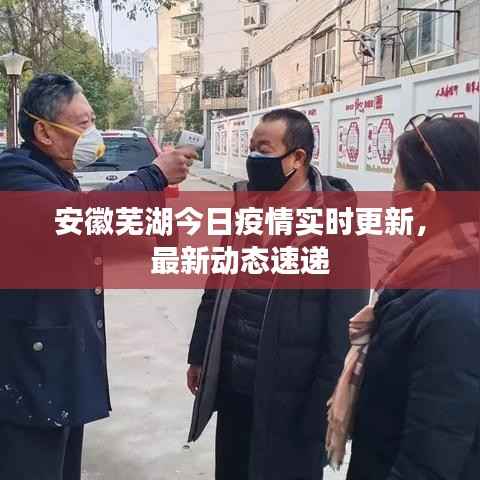 安徽芜湖今日疫情实时更新,最新动态速递
