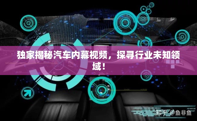 独家揭秘汽车内幕视频，探寻行业未知领域！