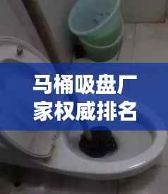 马桶吸盘厂家权威排名TOP10,品质之选一览无余