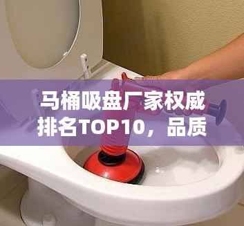 马桶吸盘厂家权威排名TOP10,品质之选一览无余