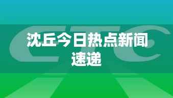 沈丘今日热点新闻速递