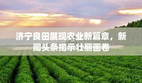 济宁良田展现农业新篇章，新闻头条揭示壮丽画卷