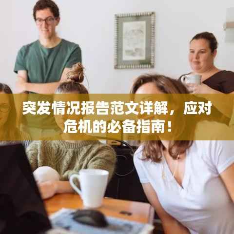 突发情况报告范文详解,应对危机的必备指南!