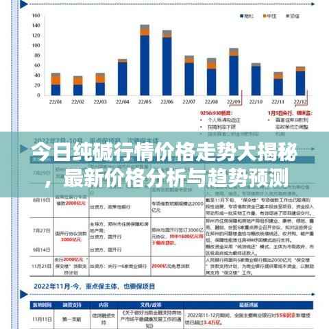 今日纯碱行情价格走势大揭秘，最新价格分析与趋势预测