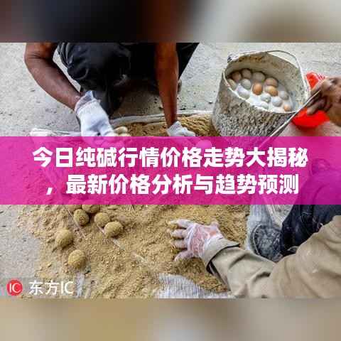 今日纯碱行情价格走势大揭秘,最新价格分析与趋势预测