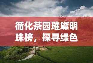 循化茶园璀璨明珠榜,探寻绿色宝藏的前十名佳园!