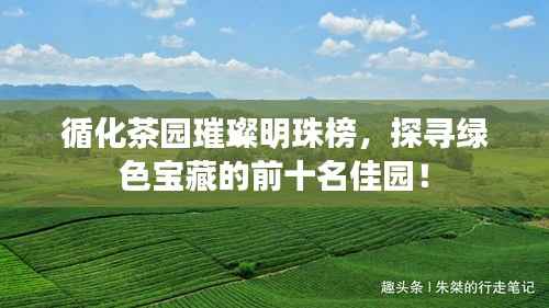 循化茶园璀璨明珠榜,探寻绿色宝藏的前十名佳园!