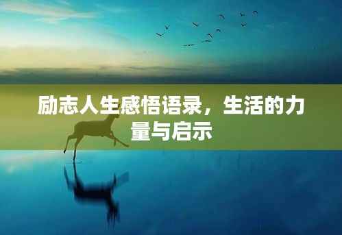 励志人生感悟语录,生活的力量与启示