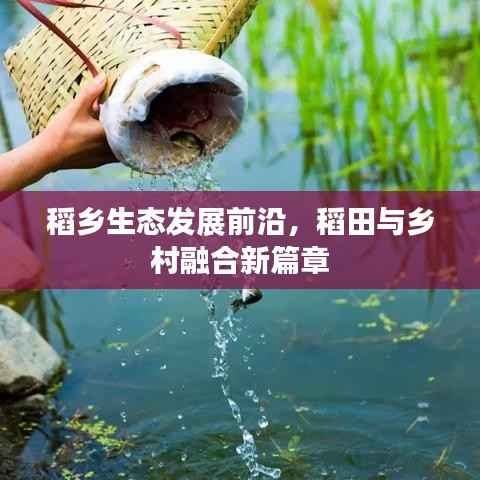 稻乡生态发展前沿,稻田与乡村融合新篇章