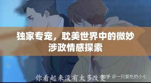 独家专宠，耽美世界中的微妙涉政情感探索